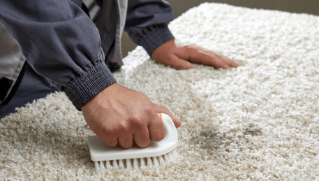 Professional Rug Cleaning Wendouree